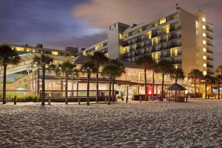 Hilton Clearwater Beach Resort & Spa photo 2
