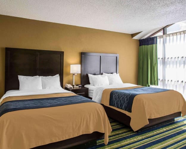 Comfort Inn & Suites Lantana West Palm Beach South photo 4