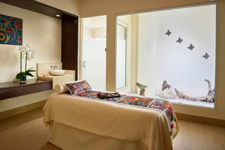 Marriott Puerto Vallarta Resort & Spa photo 3