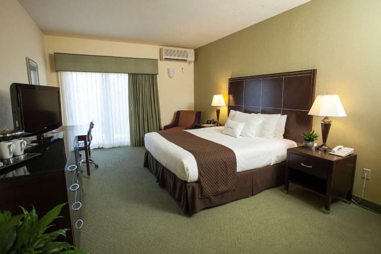 DoubleTree by Hilton Napa Valley American Canyon, photo 5