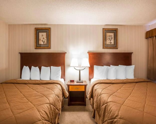 Quality Inn & Conference Centre North Hill, photo 4