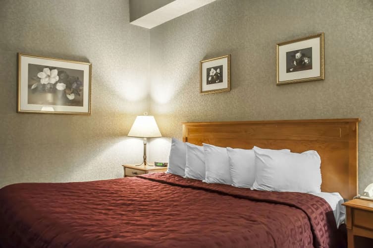 Comfort Inn Lundy's Lane photo 5