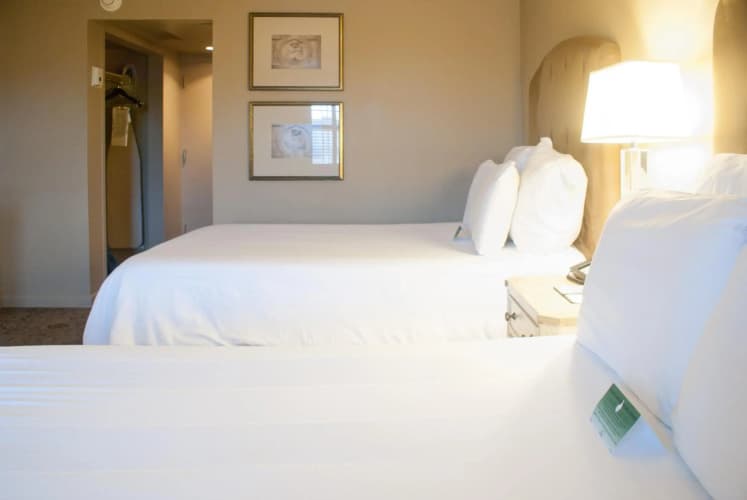Dauphine Orleans Hotel photo 5