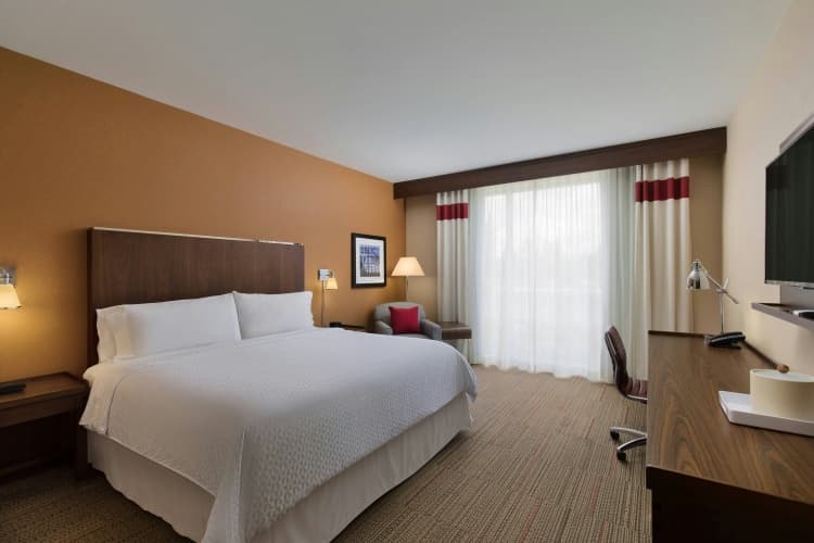 Four Points By Sheraton Seattle Airport South photo 4