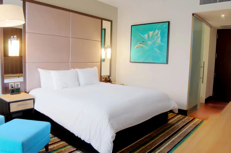 Hilton Garden Inn San Jose La Sabana photo 5