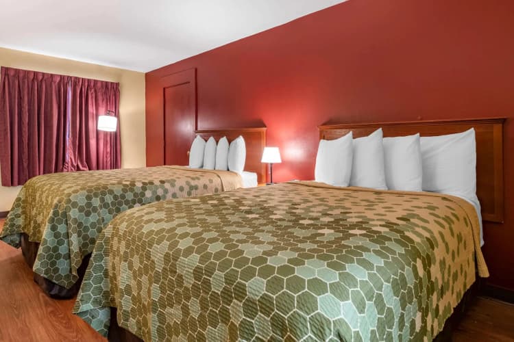 Econo Lodge  Inn & Suites Maingate Central photo 4