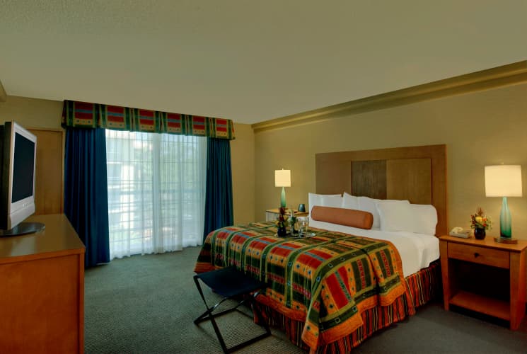 Embassy Suites by Hilton Phoenix Biltmore photo 5
