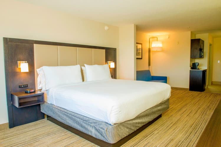 Holiday Inn Express & Suites St. Petersburg North (I-275) photo 5
