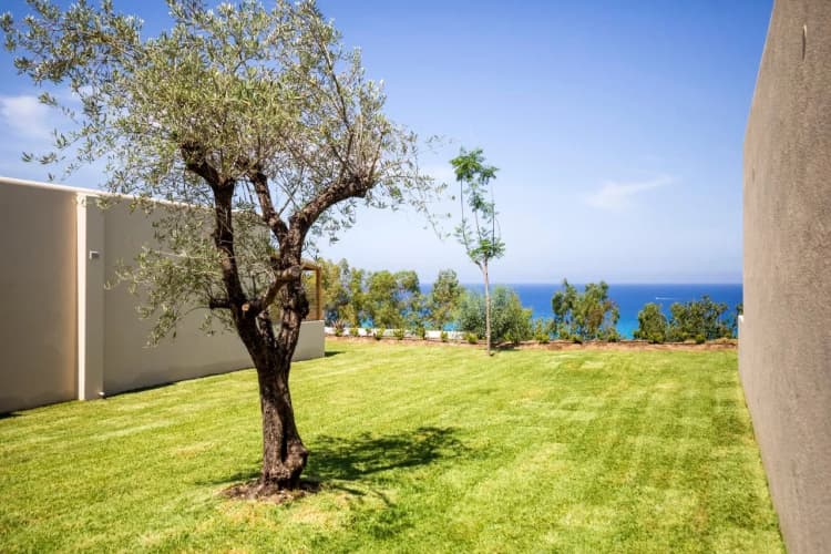 Suites Ulivo photo 2