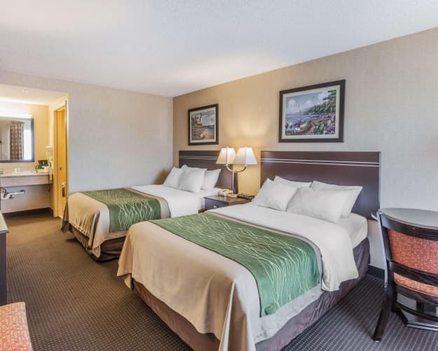 Quality Inn & Suites photo 3