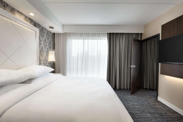 Embassy Suites by Hilton Atlanta NE Gwinnett Sugarloaf, photo 5