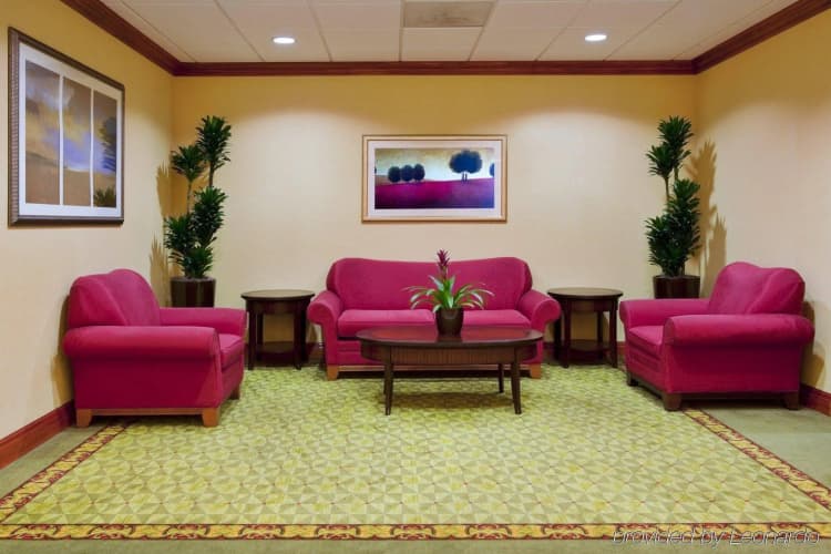 Holiday Inn Express & Suites St. Petersburg North (I-275) photo 3