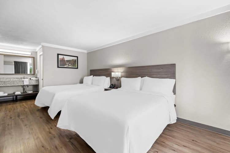 Quality Inn & Suites Ocala I-75 photo 4