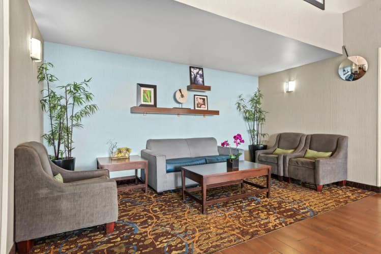 Comfort Inn & Suites Airport photo 3