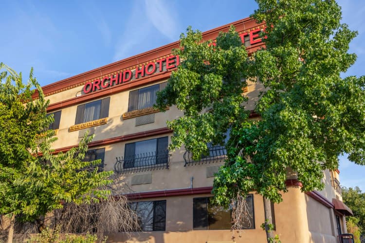 Best Western Plus Orchid Hotel & Suites photo 2