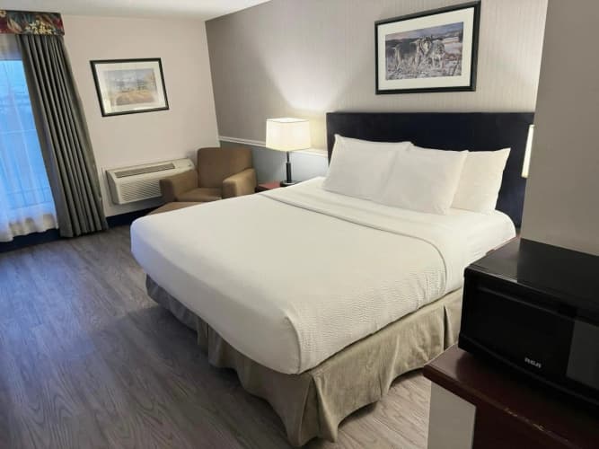 Riviera Plaza and Conference Centre Calgary Airport photo 4