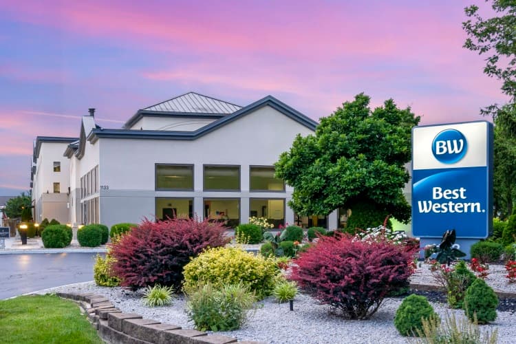 Best Western Suites photo 2