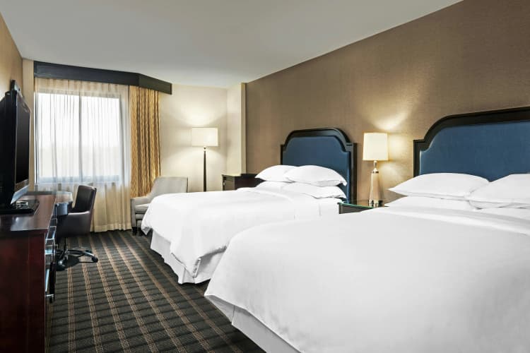 Sheraton Charlotte Airport Hotel photo 4