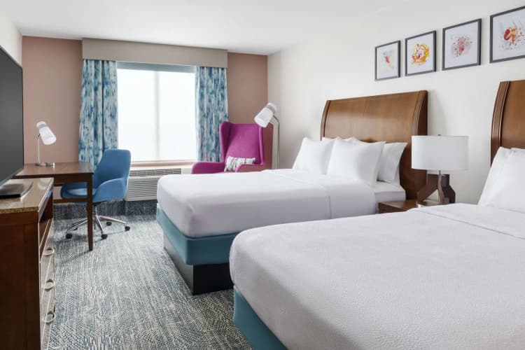 Hilton Garden Inn Orlando at SeaWorld, photo 5