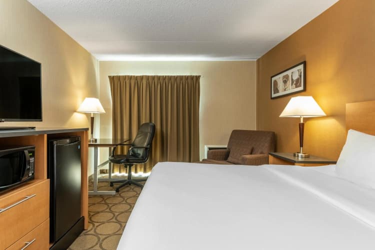 Comfort Inn Rock Forest photo 4