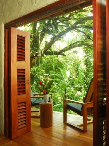 Playa Nicuesa Rainforest Lodge photo 2