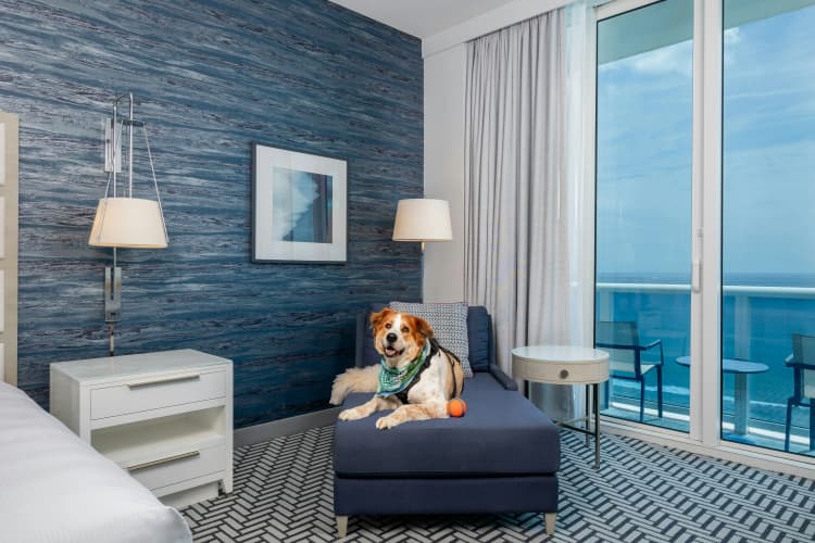 Hotel Maren Ft. Lauderdale Beach, Curio Collection by Hilton photo 5