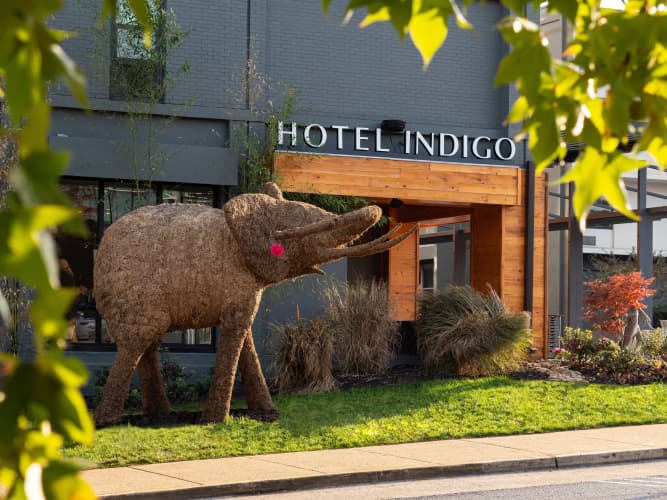 Hotel Indigo Chattanooga - Downtown photo 2