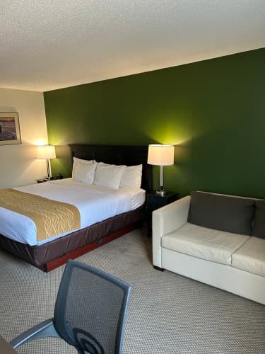 Comfort Inn photo 3