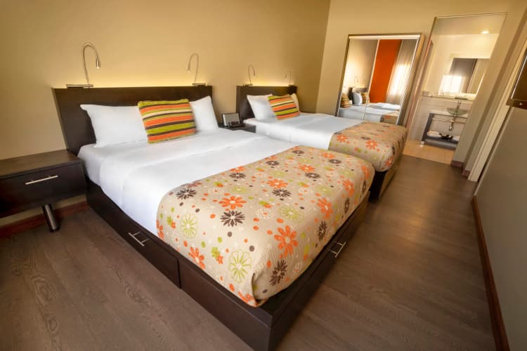 Must Hotel photo 4