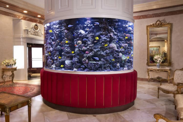 The Kimberly Hotel, photo 3