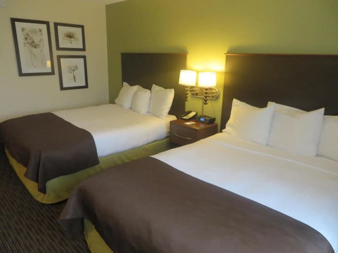Desert Diamond Casino & Hotel photo 5