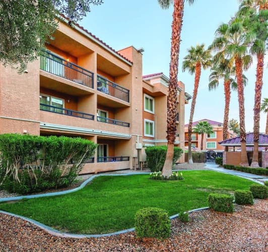 Desert Rose Resort photo 2