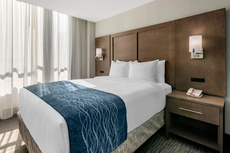Comfort Inn & Suites Downtown Brickell-Port of Miami photo 4