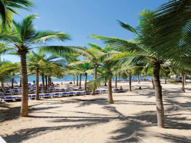 Riu Vallarta - All Inclusive, photo 5