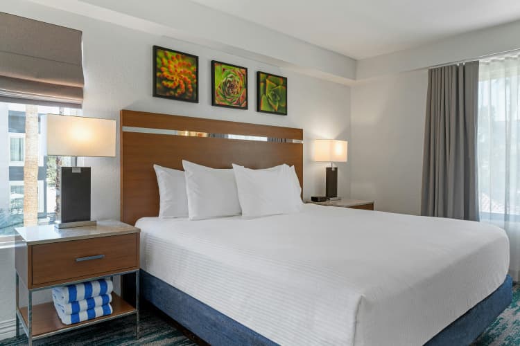 Desert Rose Resort photo 5