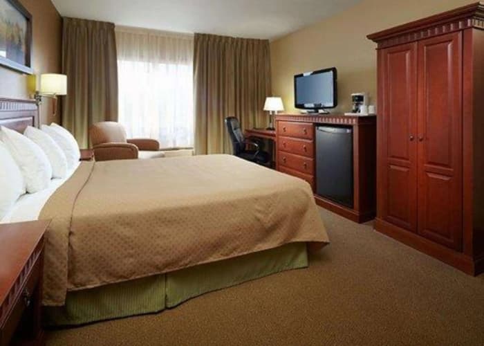 Quality Inn & Suites P.E. Trudeau Airport photo 5