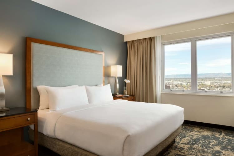 Embassy Suites by Hilton Denver Downtown Convention Center, photo 3