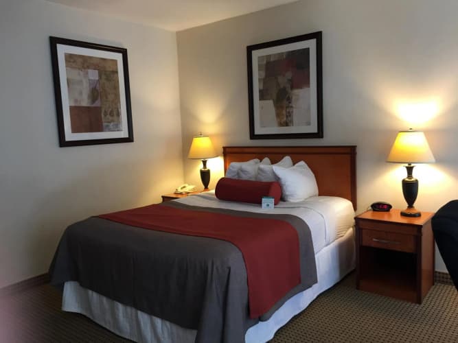 Mikado Hotel (Ex-Best Western) photo 5