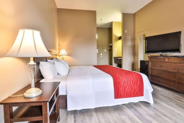 Comfort Inn & Suites, photo 2