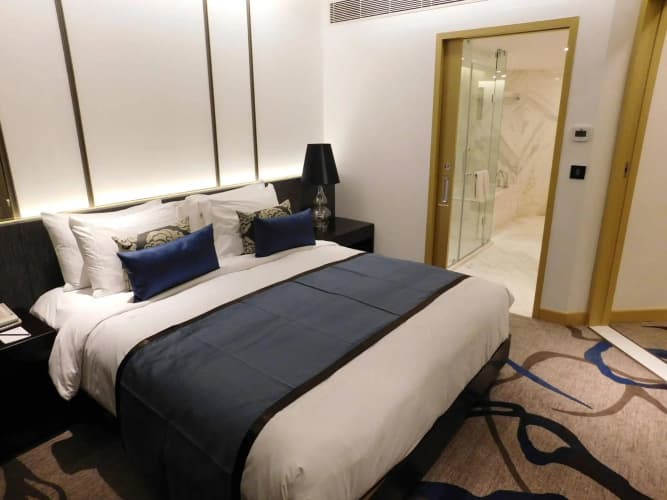 Pride Plaza Hotel Aerocity, photo 5