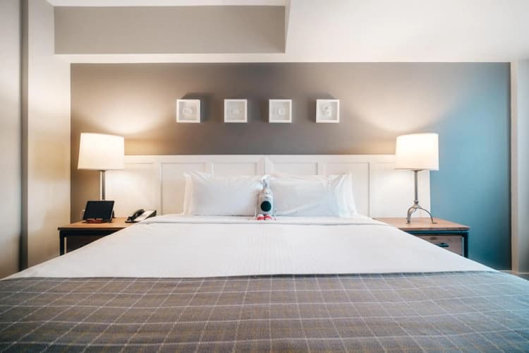 Summit Lodge Whistler By Paradox photo 4