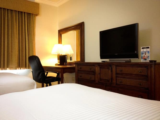 Amelia Hotel At The Beach photo 3