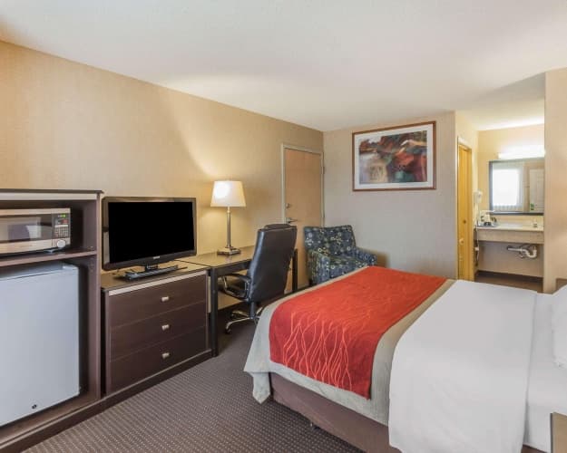 Quality Inn & Suites photo 4