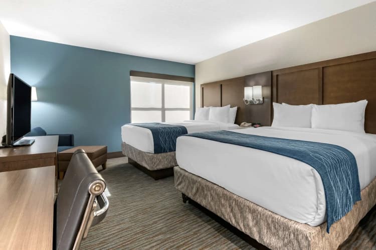 Comfort Inn & Suites Downtown Brickell-Port of Miami, photo 5