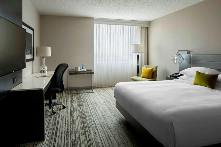 Dfw Airport Marriott South photo 3