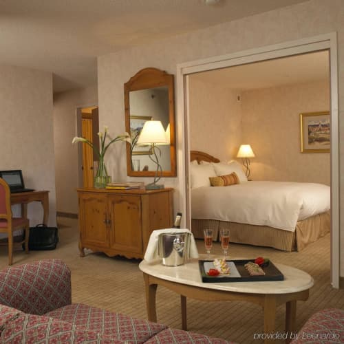 Embassy Suites by Hilton Chicago O'Hare Rosemont photo 4