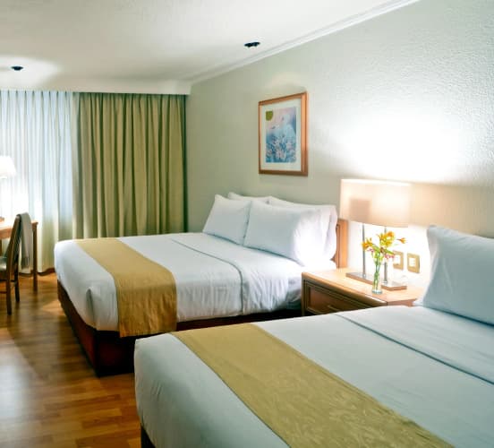 PF Hotel photo 5