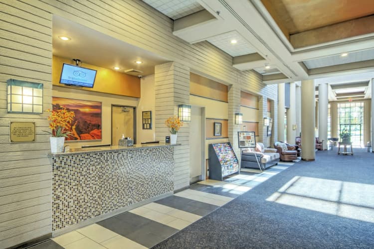 Orange Tree Golf Resort photo 2