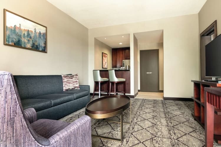 DoubleTree by Hilton Hotel Atlanta - Northlake photo 5