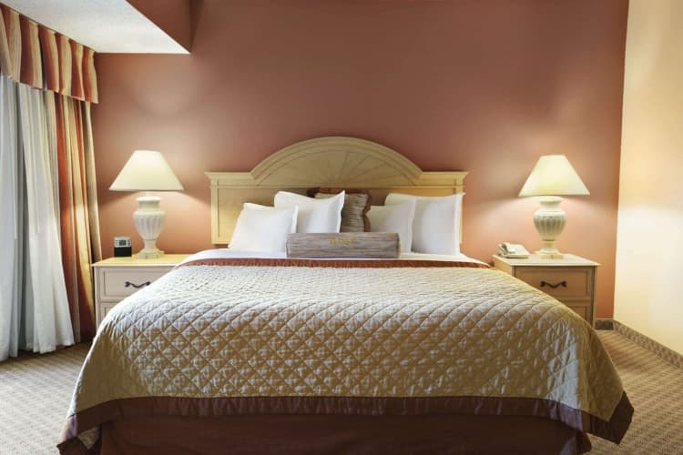 Wyndham El Paso Airport Hotel & Water Park photo 3
